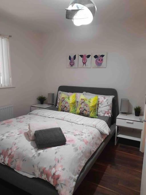 Belfast Apartment Zewnętrze zdjęcie